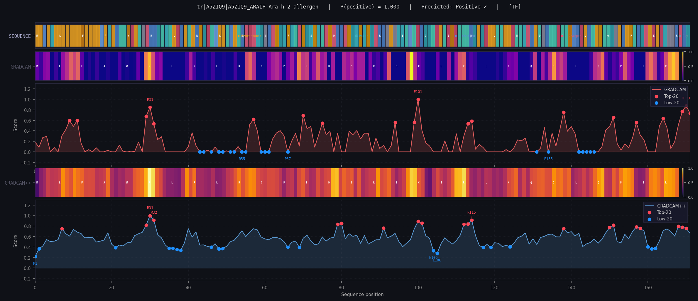 GradCAM heatmap for newproject